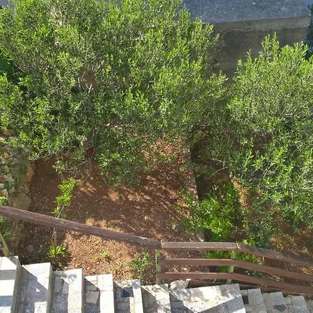 Zirje Accommodation Žirje